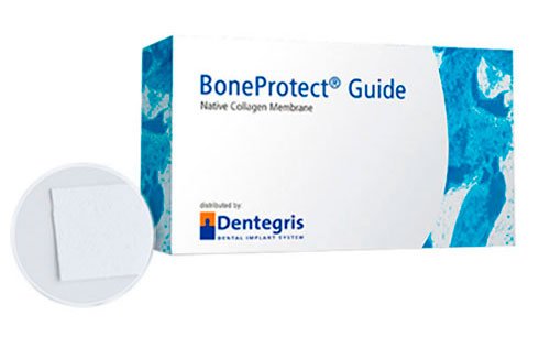 BPG2